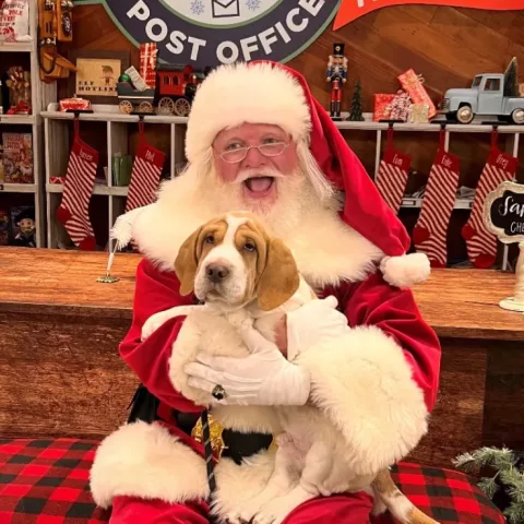 Fur-Friendly Howl-iday Activities at The Battery Atlanta